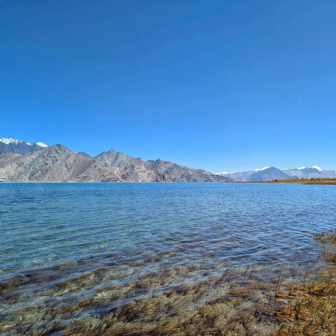 पर्यावरण के लिहाज से बेहद संवेदनशील