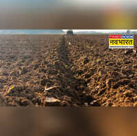 मानसून से पहले भीषण गर्मी में खेतों में कर लें ये काम होगी फसल की बंपर पैदावार