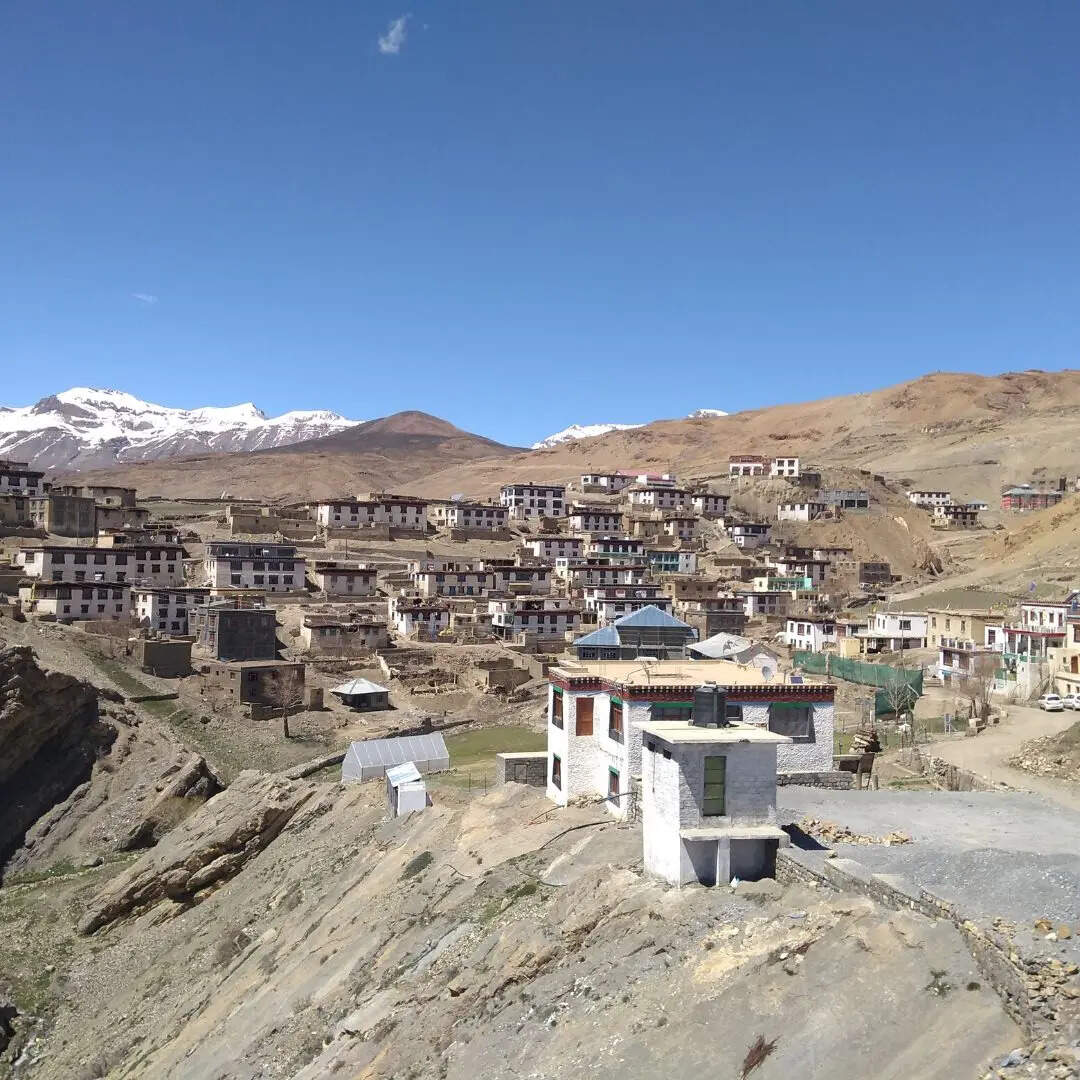 किब्बर 