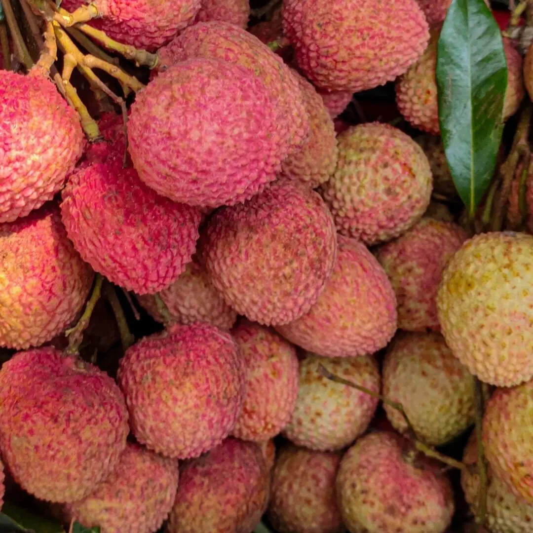 ​लीची के लिए उपयुक्त जल और भूमि की जरूरत​