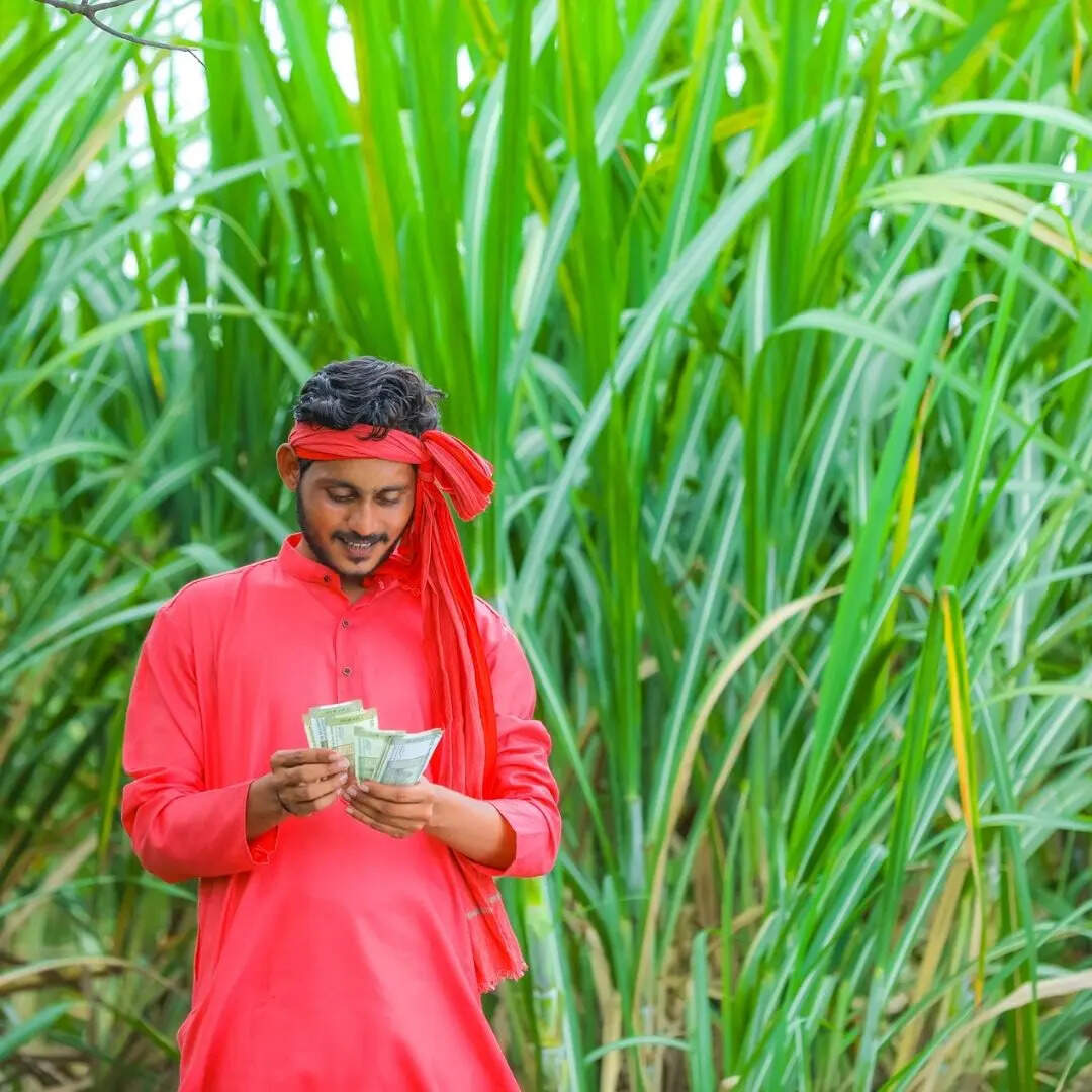 ​घर बैठे ऐसे चेक करें अपना स्टेटस​