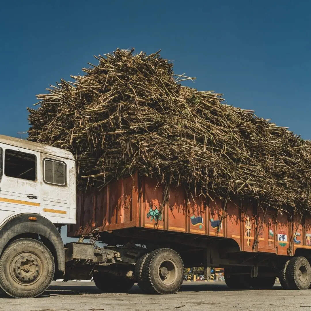​किसानों के लिए नई कमाई का जरिया​