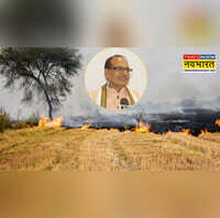 कृषि मंत्री किसानों को देंगे टिप्स पराली जलाने पर लगेगी रोक बनाया ये प्लान