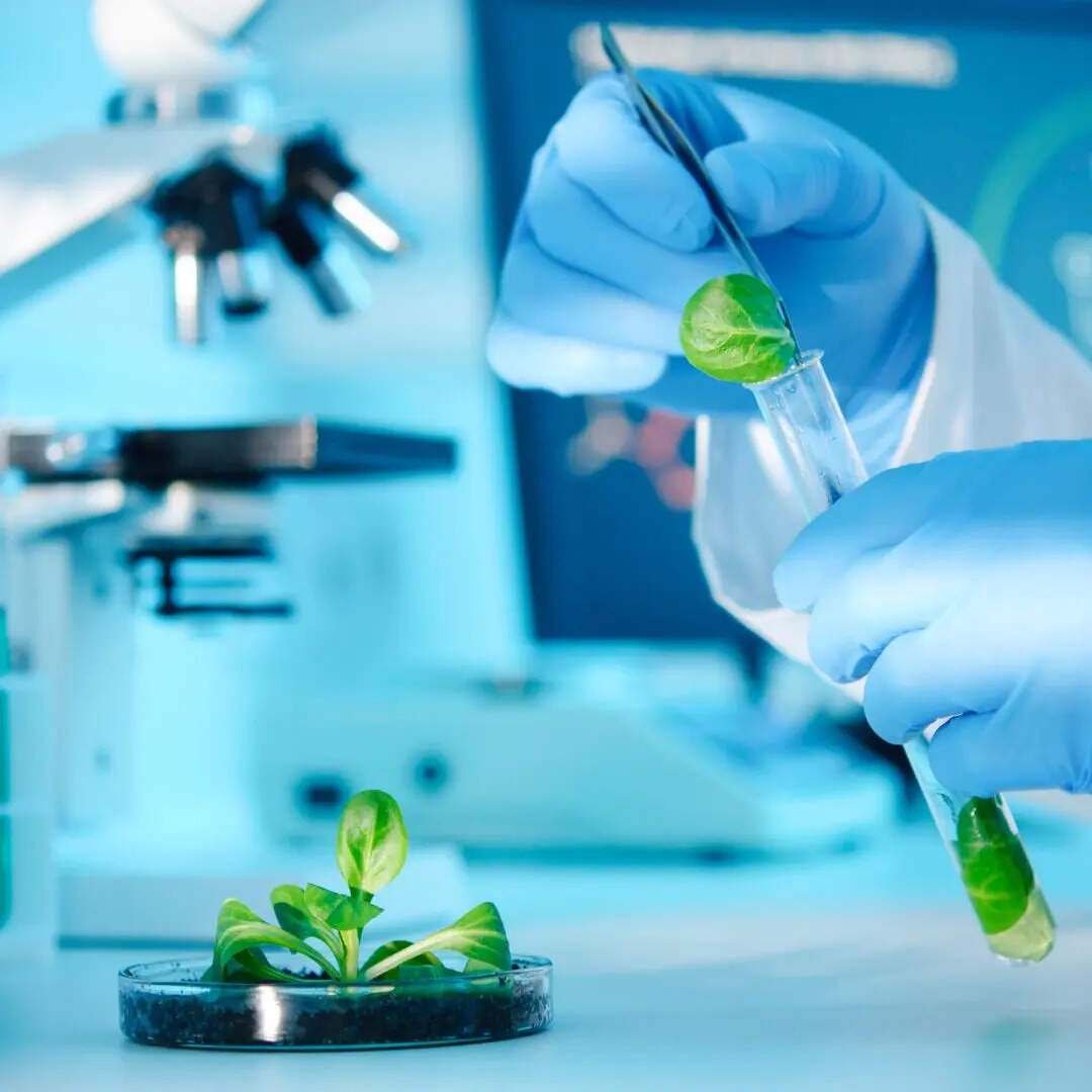 बायोटेक्नोलॉजी (Biotechnology)