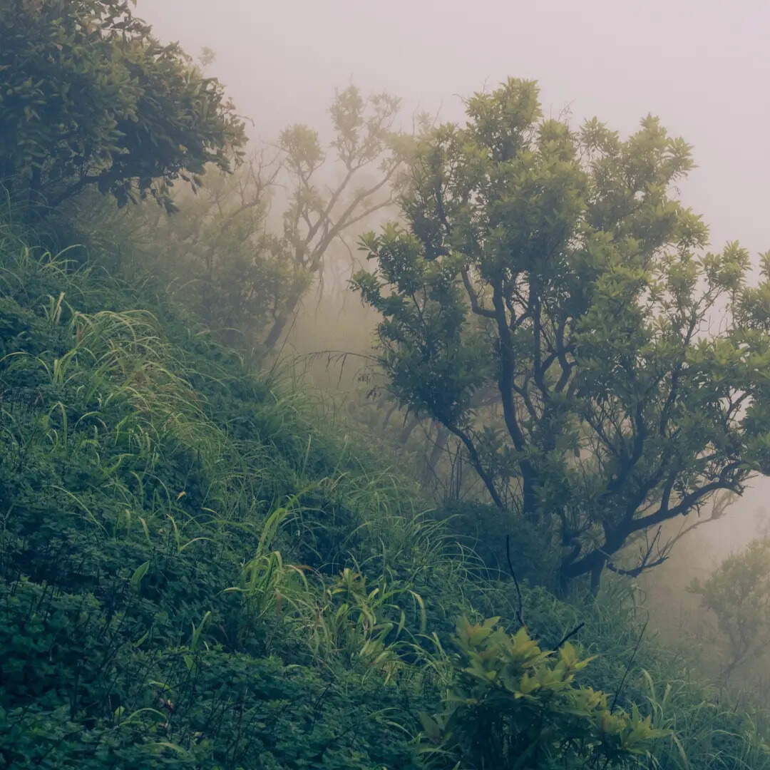 ​चित्रकूट​