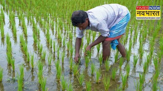 महाराष्ट्र के किसानों के लिए बड़ा ऐलान अब 2 लाख रुपये तक का कर्ज होगा माफ
