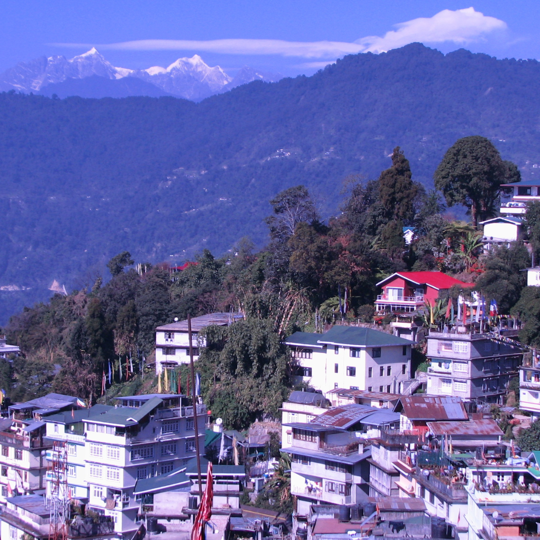 अमर महल संग्रहालय