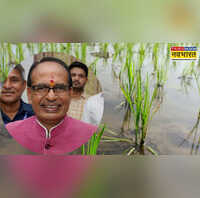 खरीफ फसलों की बुवाई के रकबे में आई कमी कृषि मंत्री बोले- सरकार रख रही है कड़ी नजर
