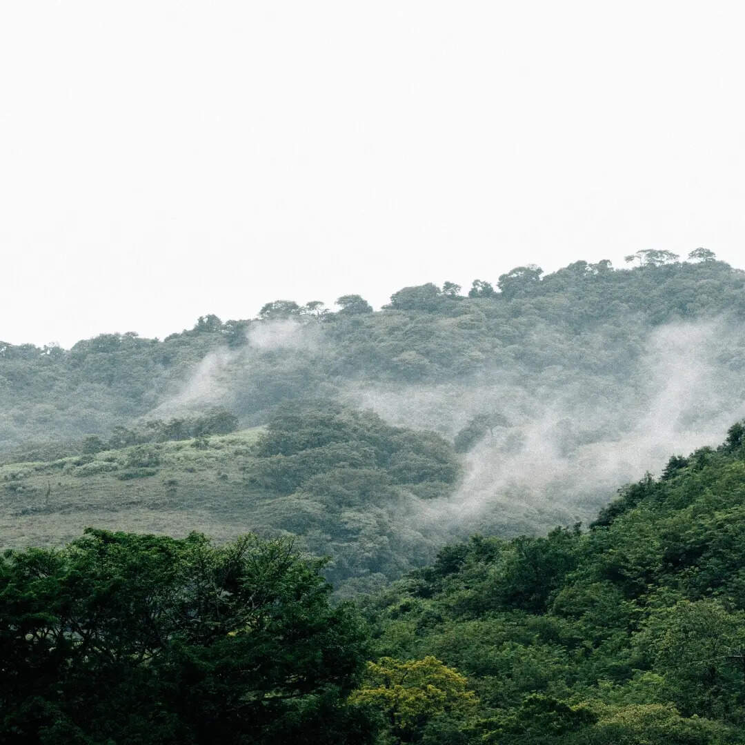 ​बारिश में हो जाती है बेहद खूबसूरत​