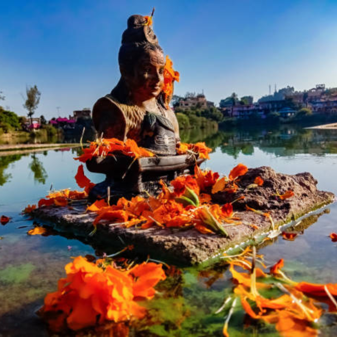 घाव भरने में भी माना जाता है उपयोगी