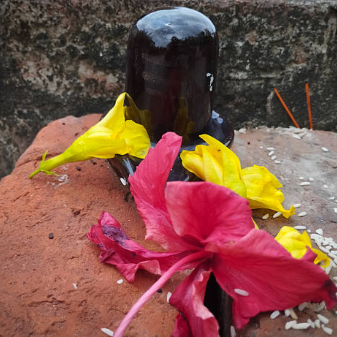 कुछ त्वचा की समस्याओं में किया जाता है इस्तेमाल