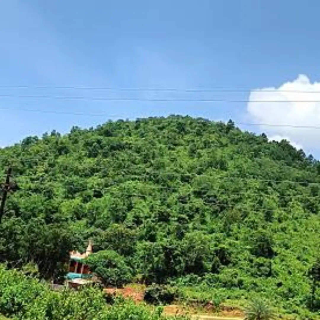 कौन सा पर्वत है