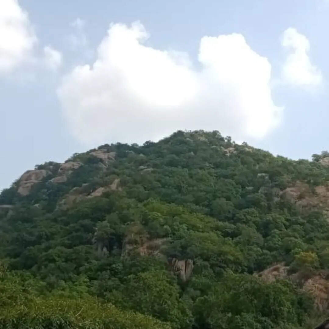 दक्षिण में सतपुड़ा पर्वतमाला