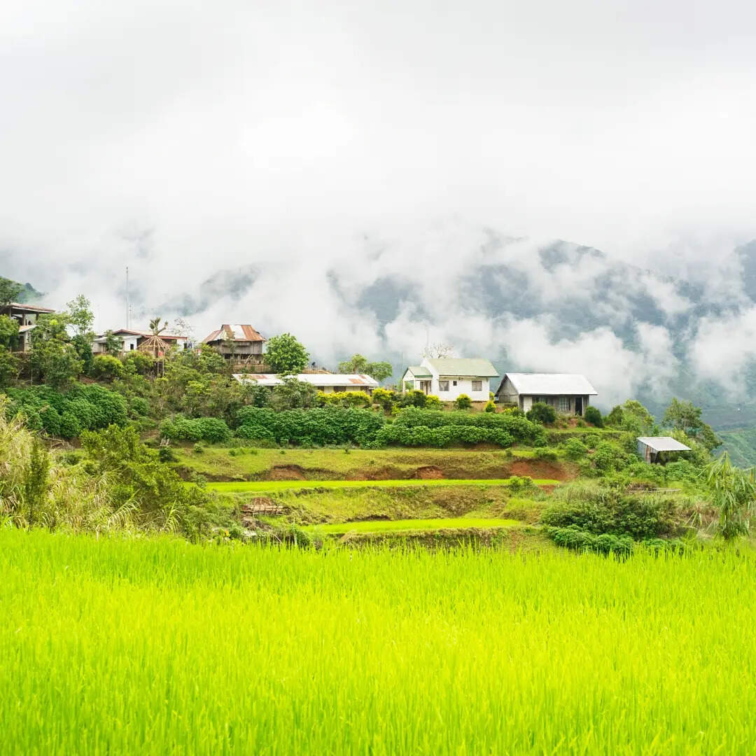​पुलगा​