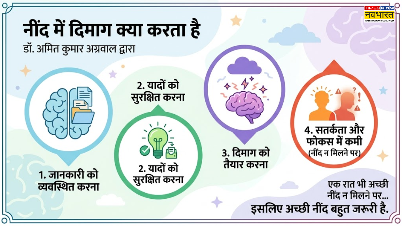 नींद में दिमाग क्या करता है