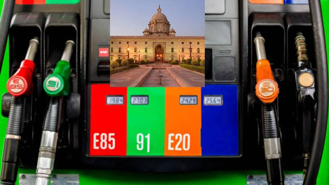 भारत में E20 का विरोध