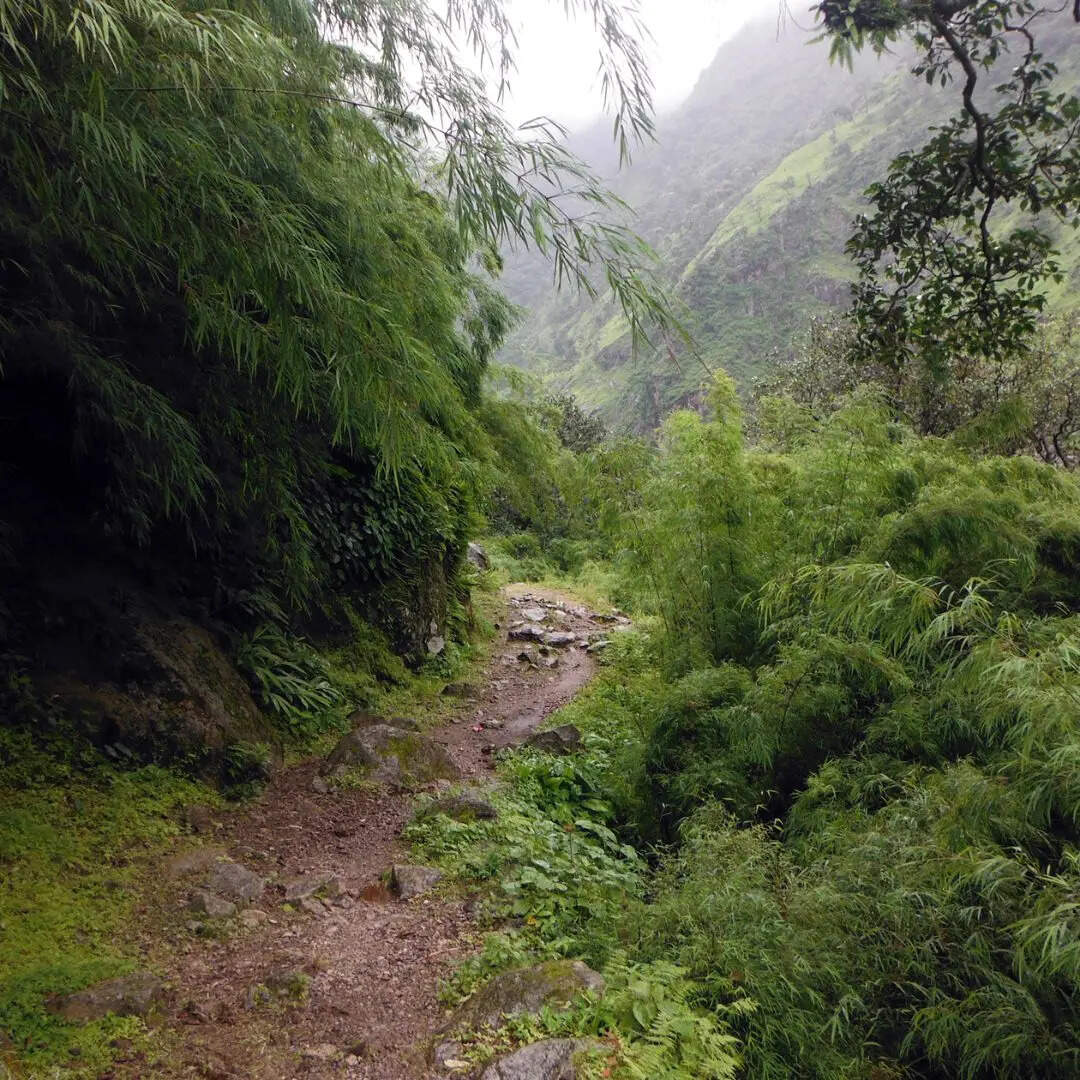 ​फूलों की घाटी, उत्तराखंड​