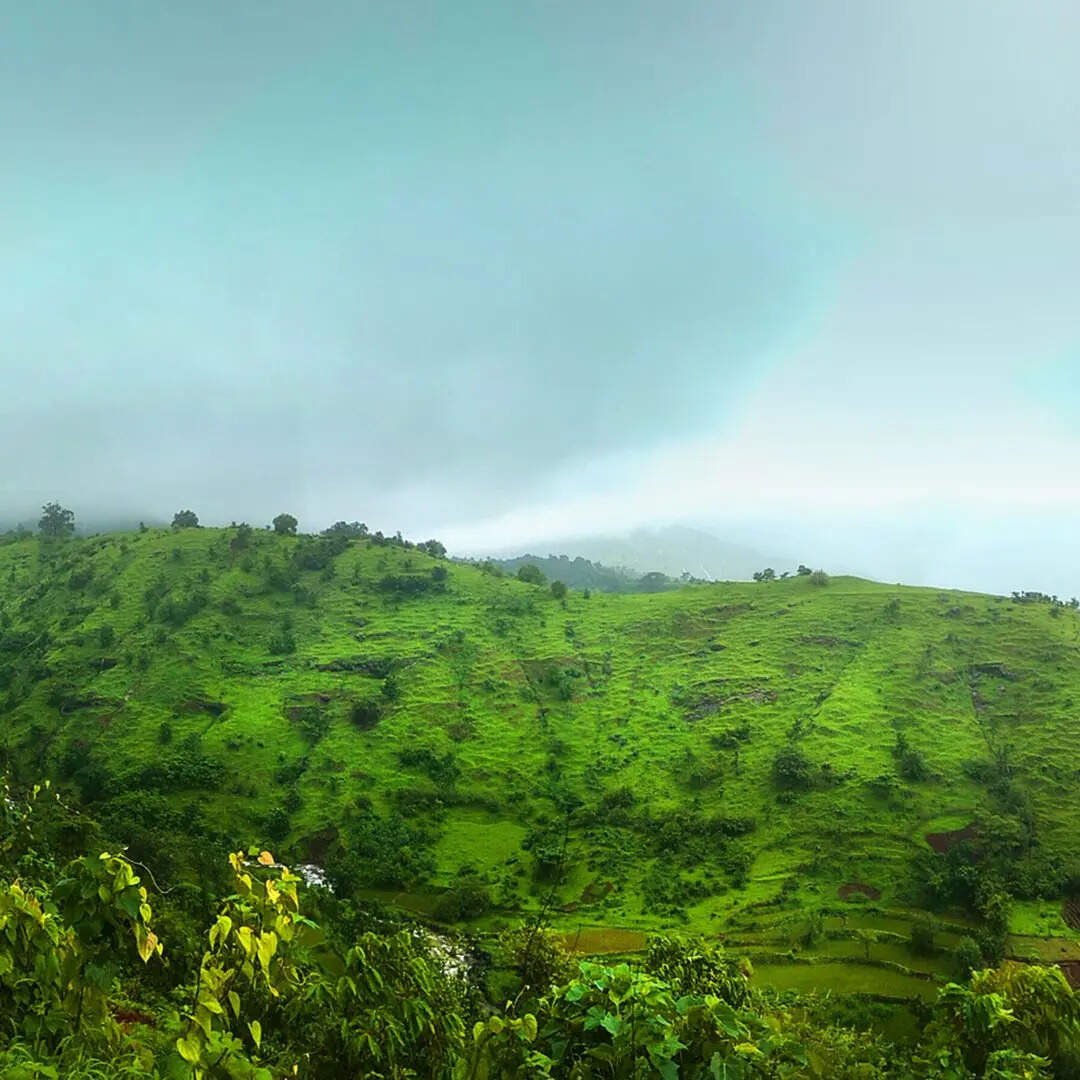 ​वायनाड, केरल​