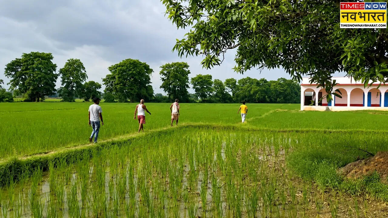 Munger govt school