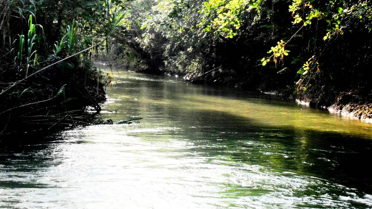 Camuy River