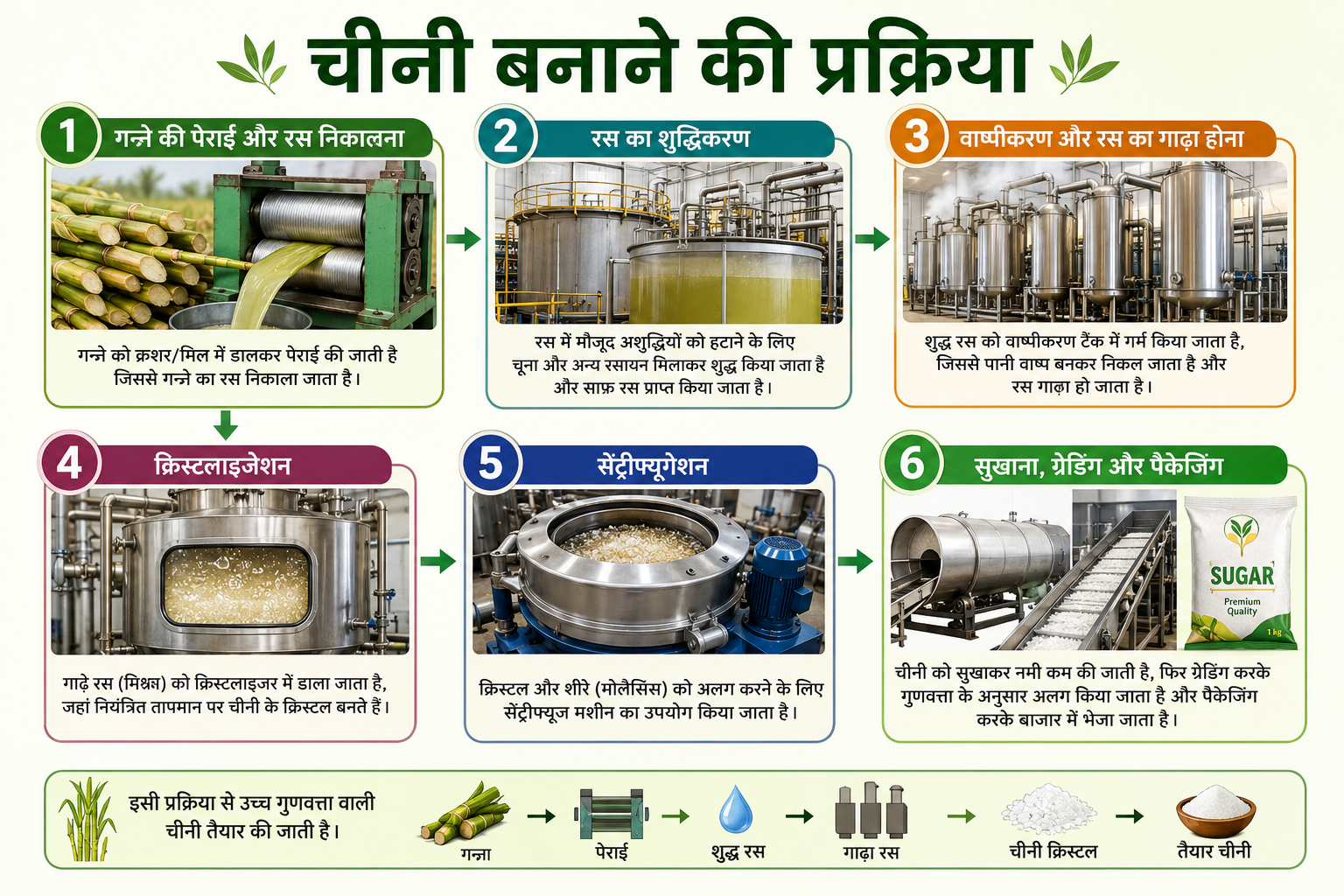 How Sugar Made from Sugarcane