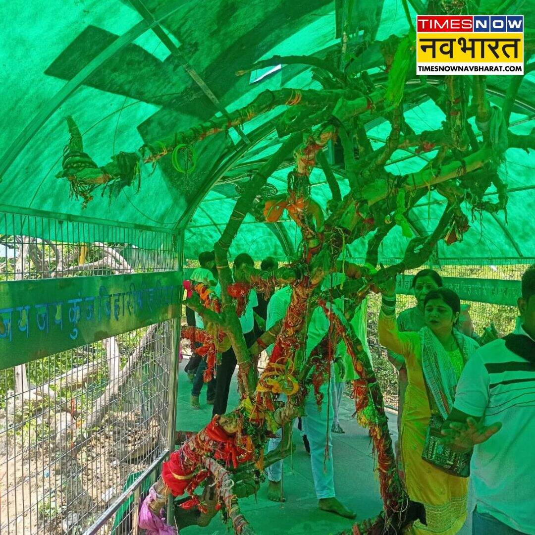 निधिवन