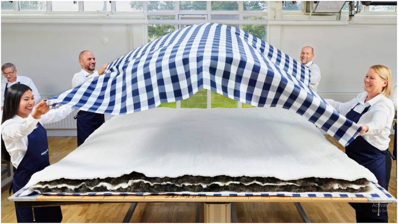 Hastens Grand Vividus Premium Bed