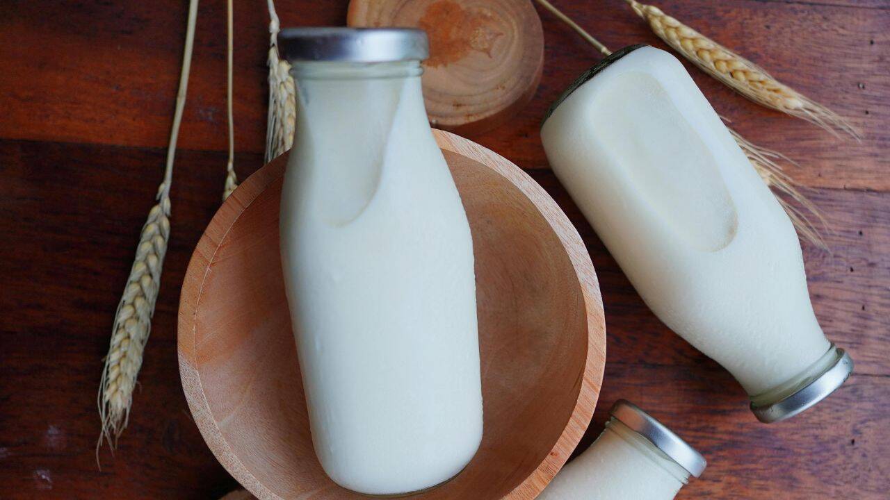 दूध के साथ क्या नहीं खाना चाहिए