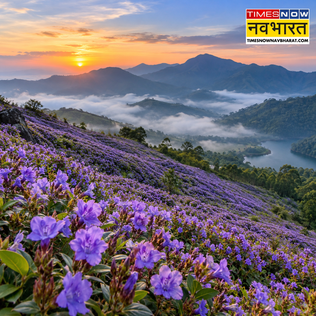 ​12 साल बाद फिर सजा मुन्नार​