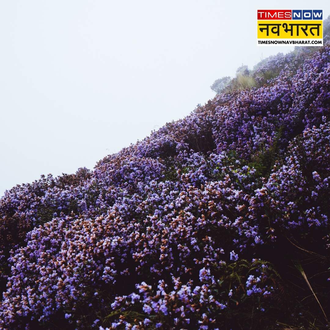 ​इन जगहों पर दिखता है सबसे शानदार नजारा​