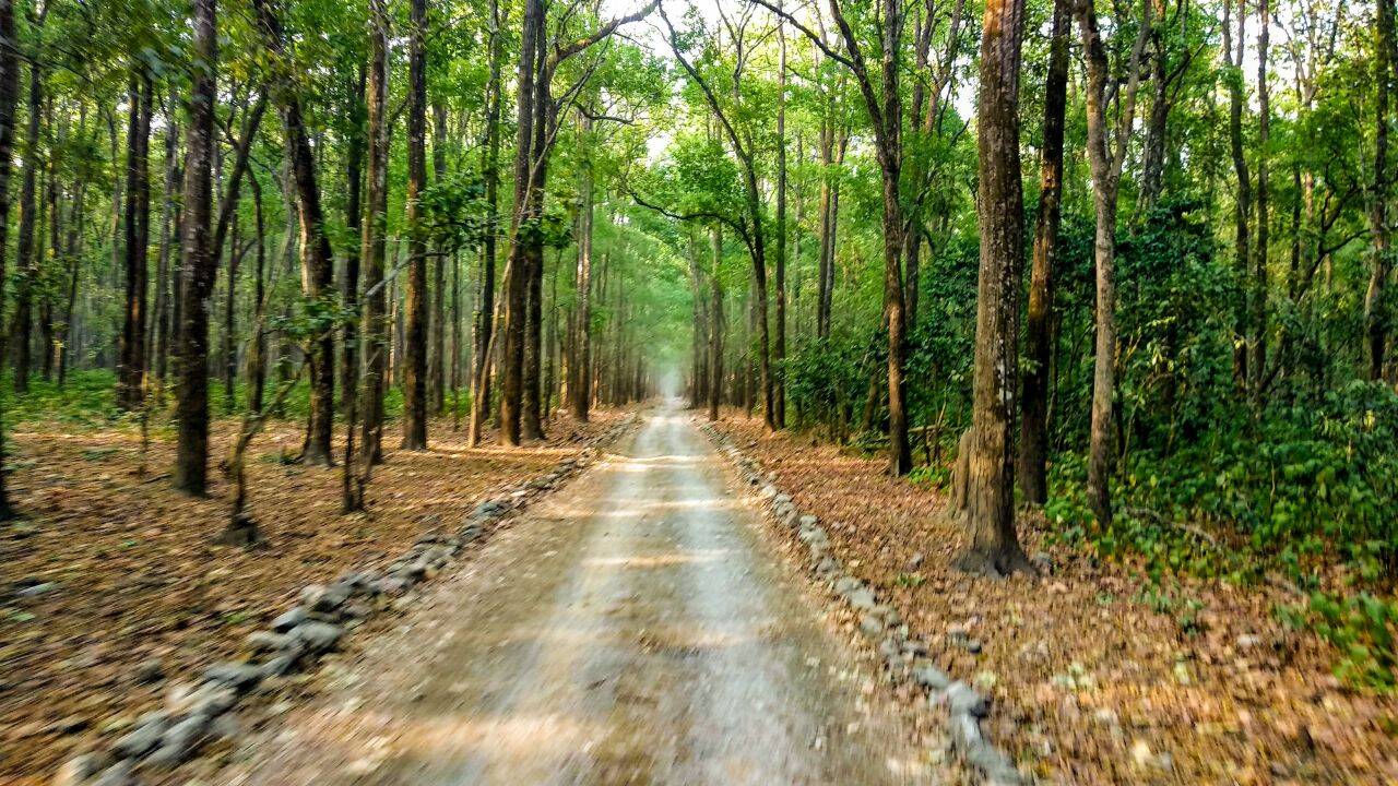 जिम कॉर्बेट नेशनल पार्क, उत्तराखंड