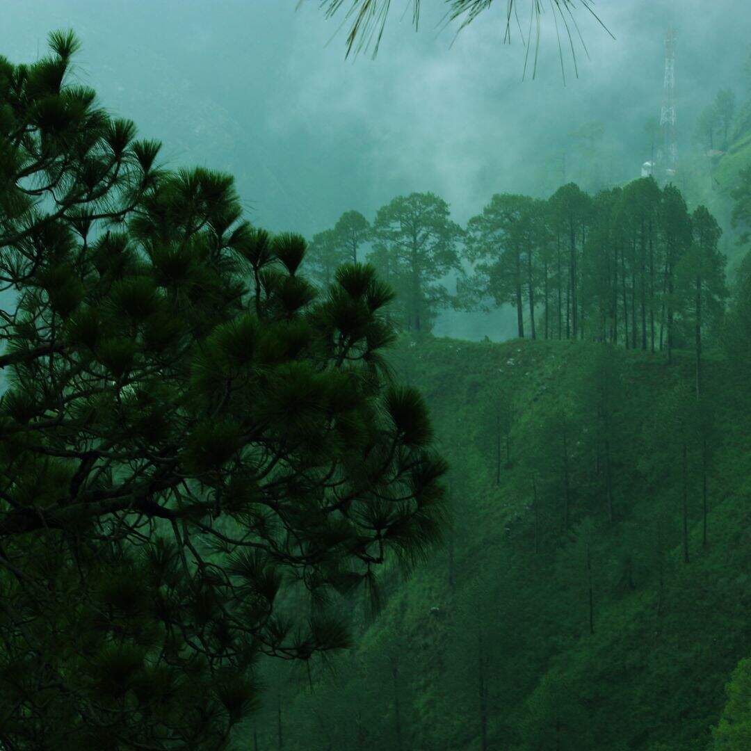 ​मौसम का अपडेट​