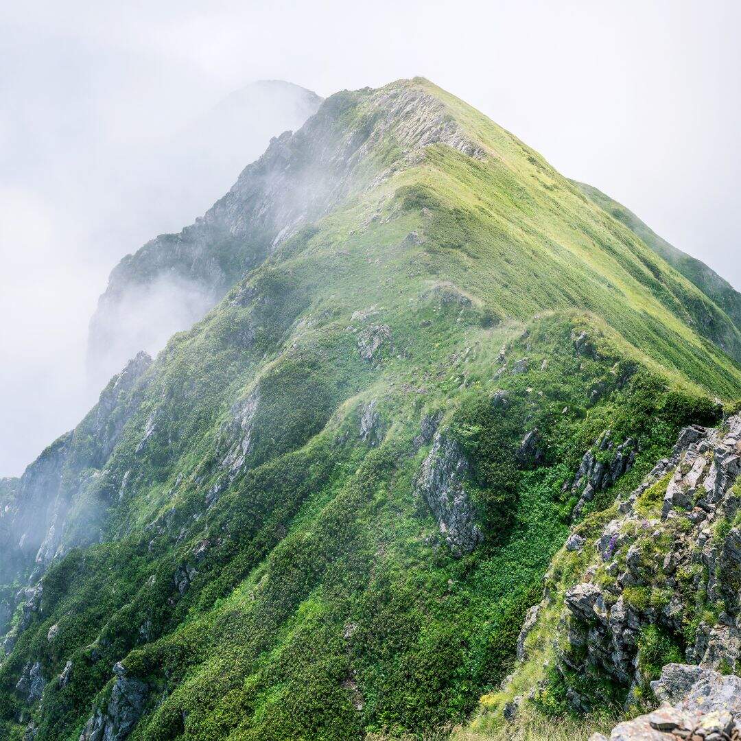 ​बद्रीनाथ, उत्तराखंड​