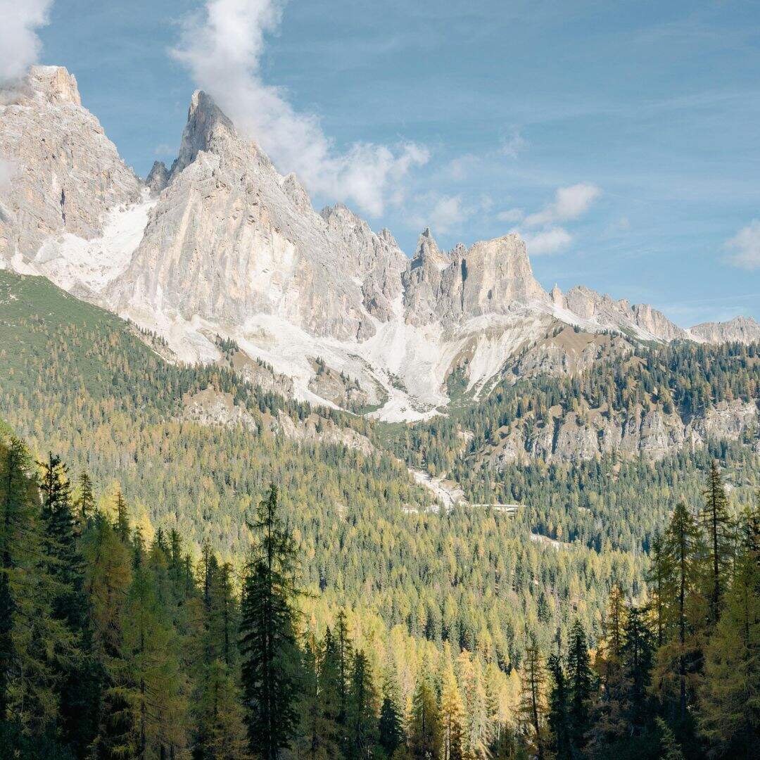 ​चोपता, उत्तराखंड​