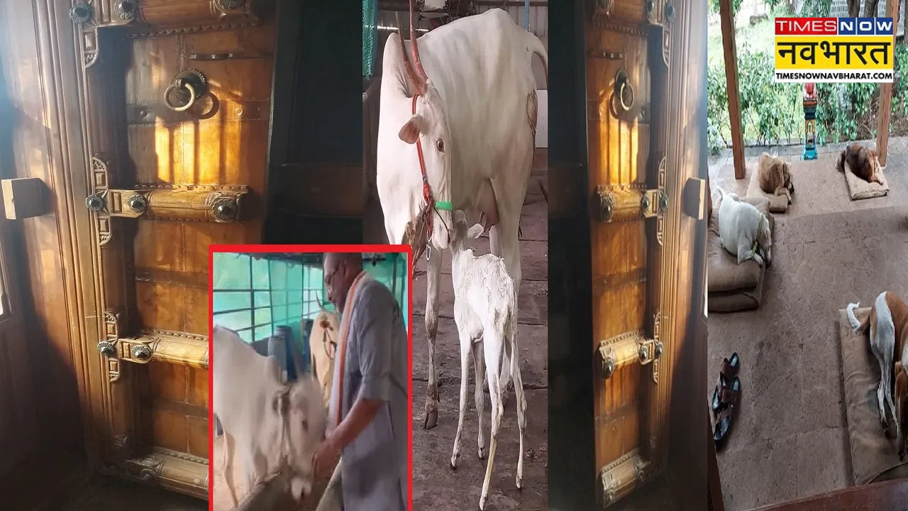 Nana Patekar Farmhouse Pics