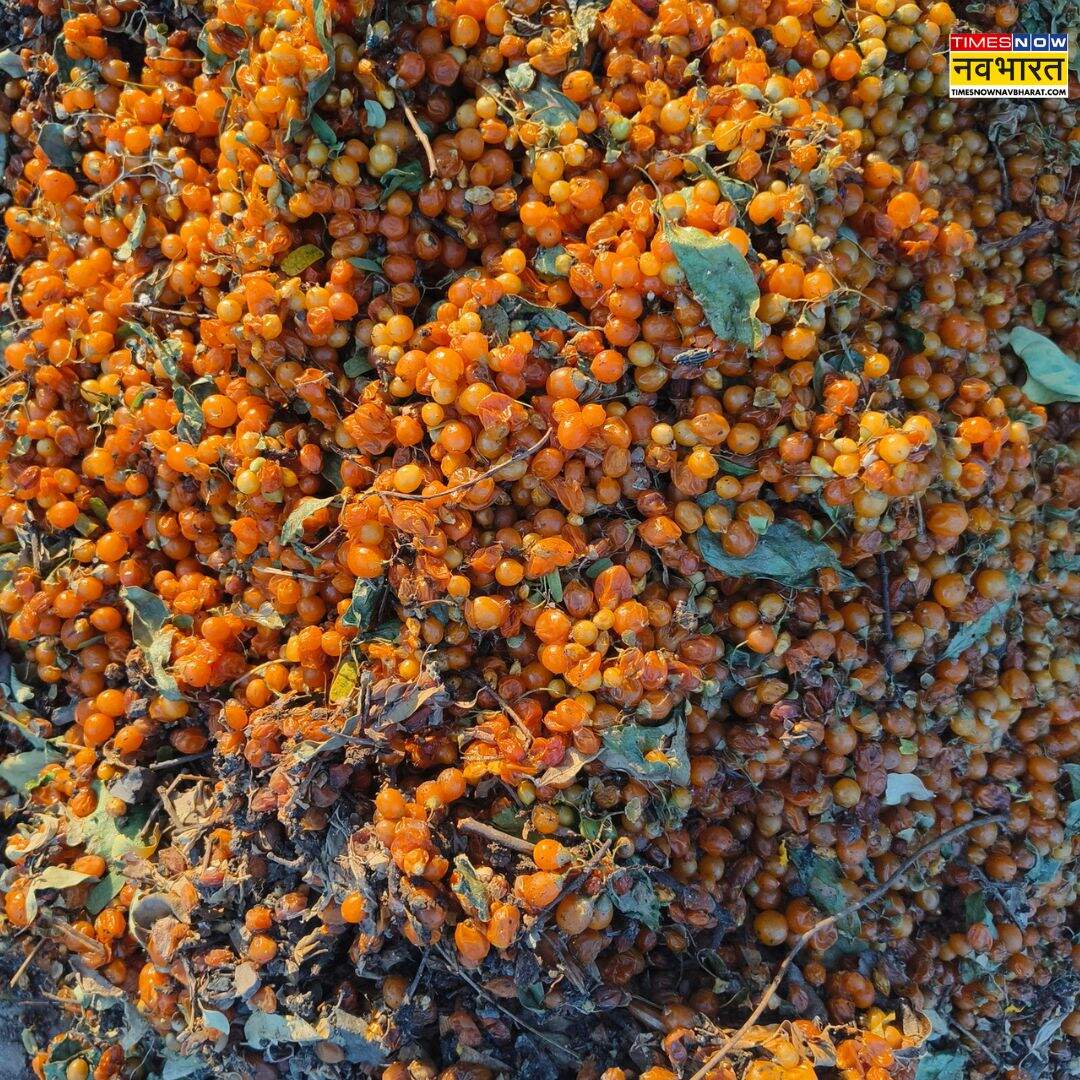 ​त्वचा में चमक और प्राकृतिक निखार लाता है​
