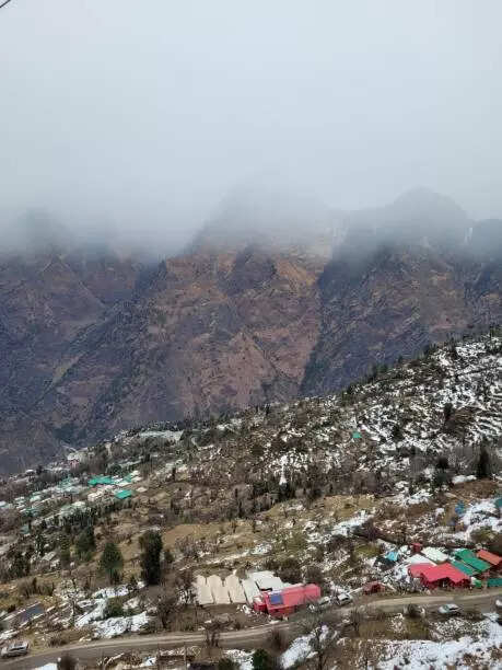 Auli