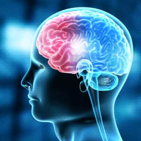 दिमाग का विकास होता है प्रभावित