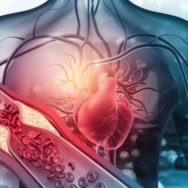 बॉडी में कितना होना चाहिए कोलेस्ट्रॉल