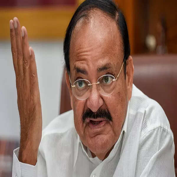 strongवेंकैया नायडू 2002-2004strong