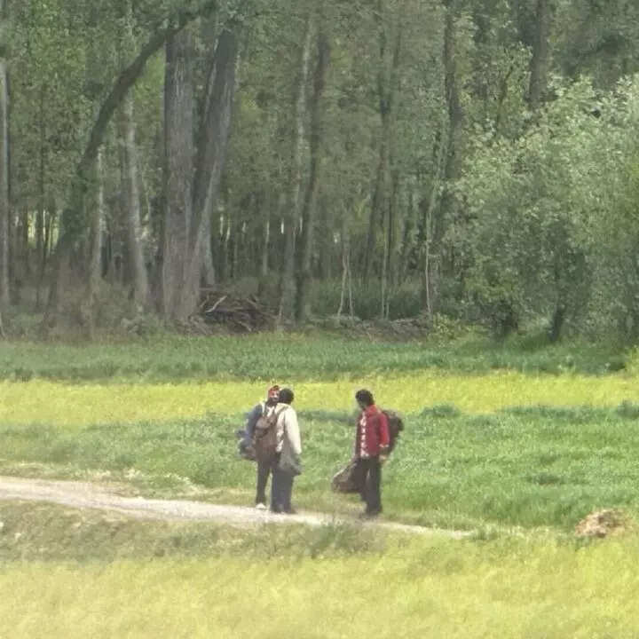 जंगल में चलते दिखे शाहरुख