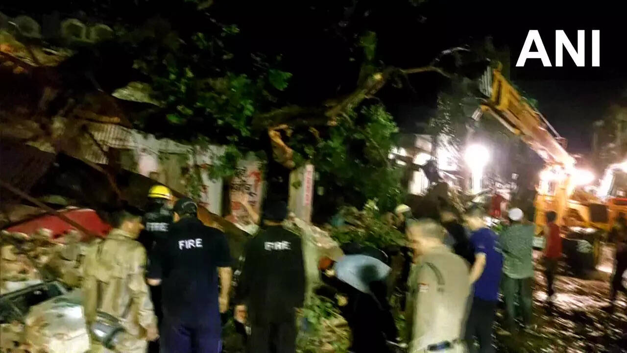 Storm in Haridwar, ain in Uttarakhand, Death due to falling tree