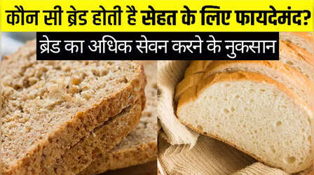 White या Brown- कौन सी ब्रेड है हेल्दी, क्या रोज खा सकते हैं ब्रेड, Bread पसंद करने वाले जान लें जरूरी बातें
