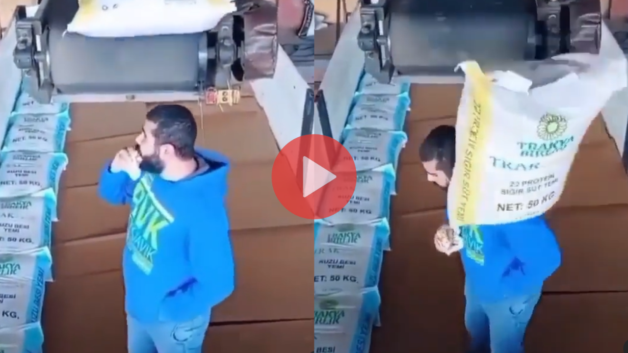 Viral Video (1)