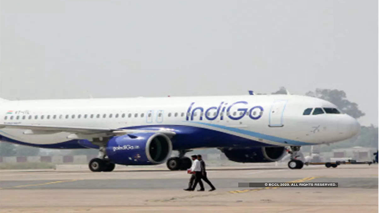 indigo flight