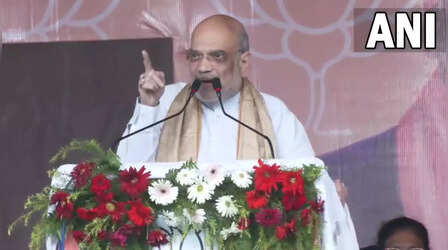 पल्टू बाबू पूछते हैं 9 साल में क्या किए? PM मोदी को कोई बॉस बोलता है, कोई पैर छूता है, अमित शाह ने दिया नीतीश को जवाब