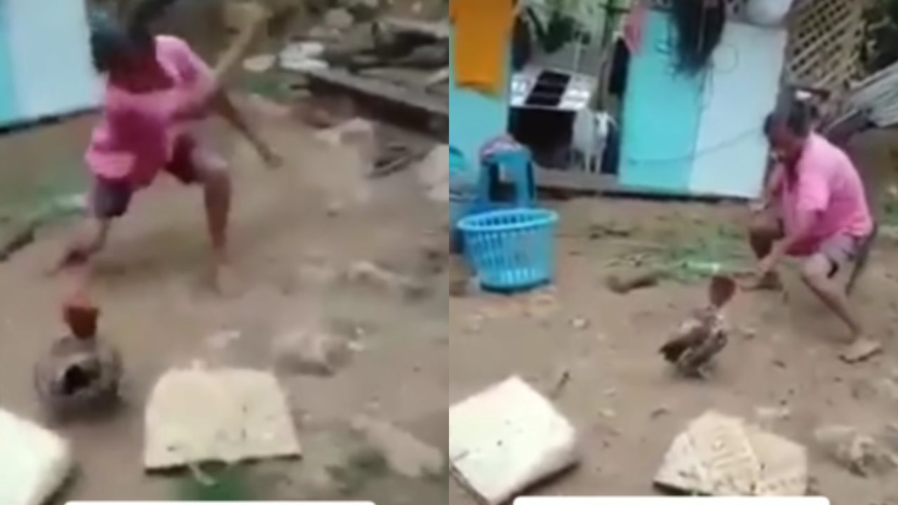 Funny Video