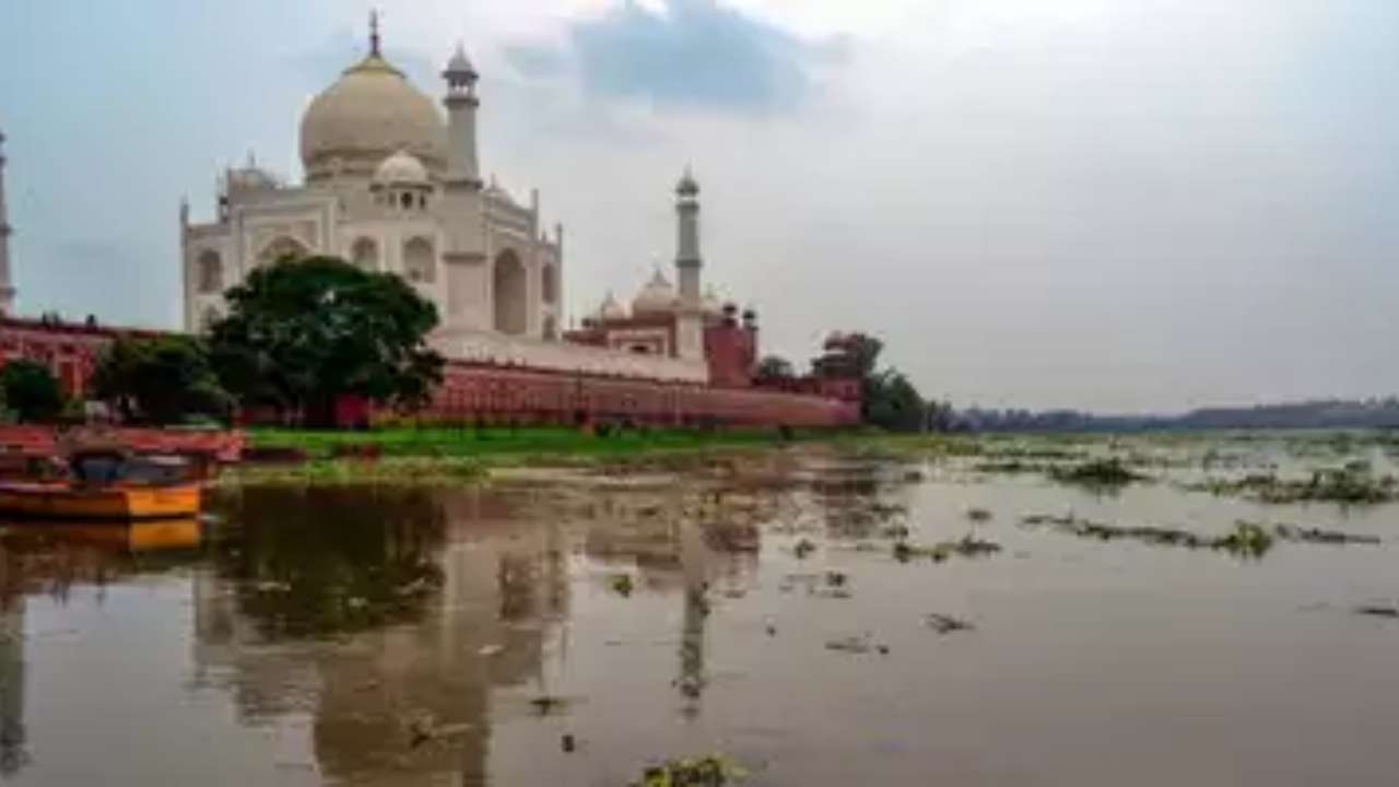 Rising Yamuna Waters Reach Walls of Taj Mahal-यमुना दिखा रही रौद्र रूप, 45  साल में पहली बार यमुना का पानी ताज महल की दीवारों तक पहुंचा | Times Now  Navbharat