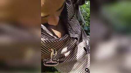 Snake Viral Video : पेड़ के नीचे सो रहा शख्‍स, तभी शर्ट में घुस गया जहरीला कोबरा, फिर जो हुआ...
