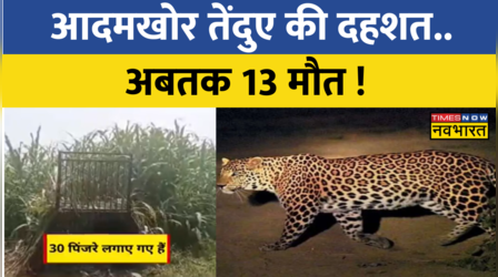UP के Bijnor में तेंदुए का आतंक, अबतक 13 लोग हुए तेंदुए का शिकार